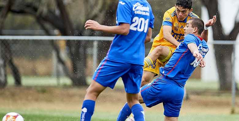 Tigres Tigres Sub Venci A Cruz Azul Con Goles De Fernando