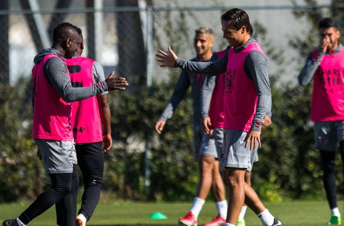equipo xolos once perros tigres pareja