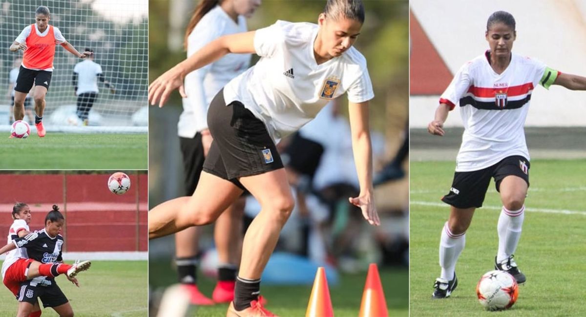 Pamela Nonato refuerzo tigres femenil brasil botafogo