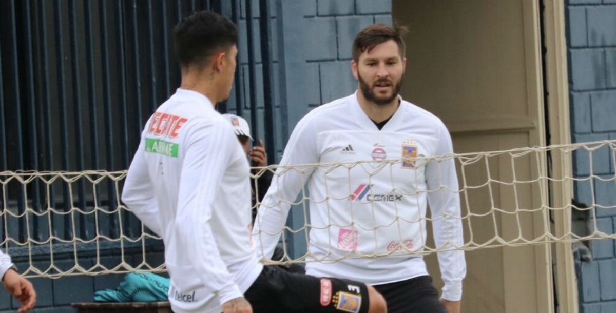 Gignac Liga MX Francés