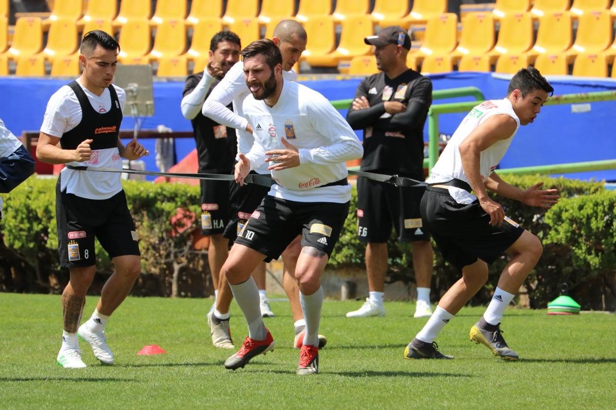 Andre pierre Gignac Tigres Liga MX Clausura 2019 Lesión Rodilla Derecha Lobos BUAP Jornada 14 