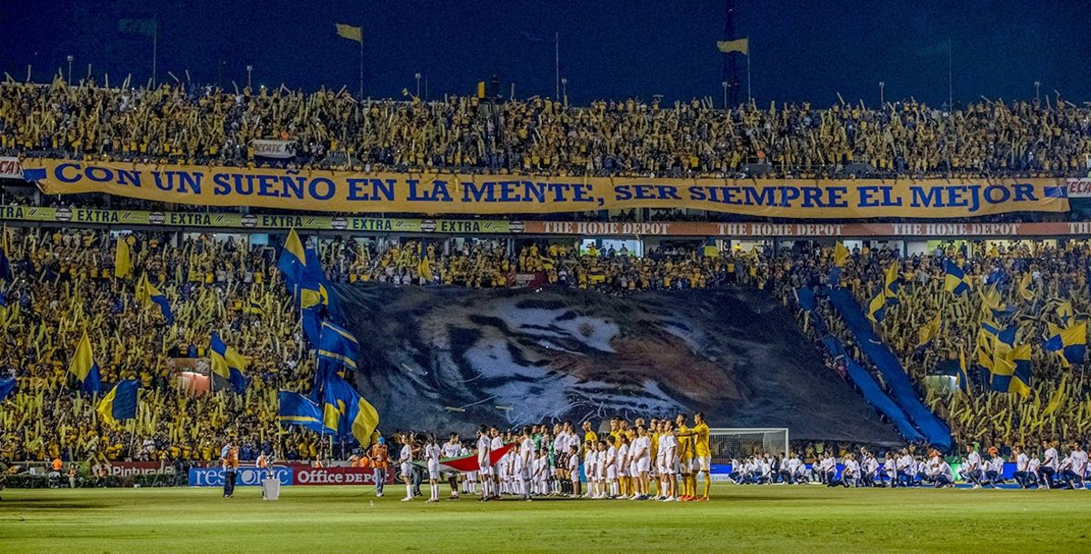 Tigres, Liga MX, Tigres campeón, estadio Universitario, UANL, nuevo estadio, Universidad, Rogelio Garza, Sinergia Deportiva, Miguel Ángel Garza, Volcán