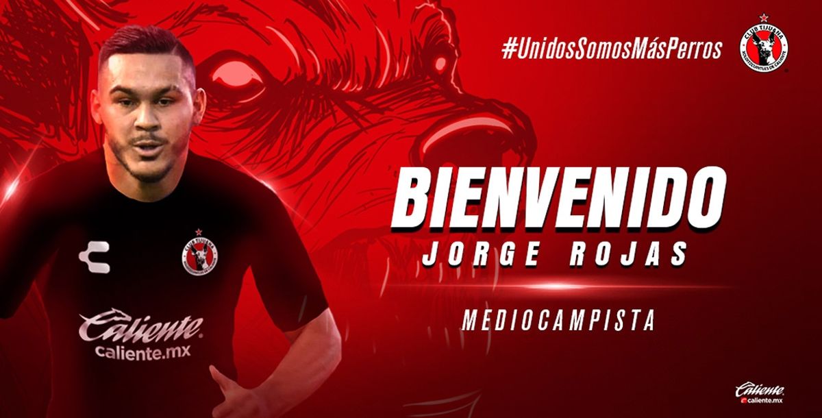 Xolos, Liga MX, Apertura 2019, Jorge Luis Rojas, Querétaro, Óscar Pareja, Cerro Porteño, Benfica, Gimnasia y Esgrima La Plata, Jordan Silva, Lolo Miranda, Aldo Cruz, Mauro Lainez, Ángel Sepúlveda, Washington Camacho