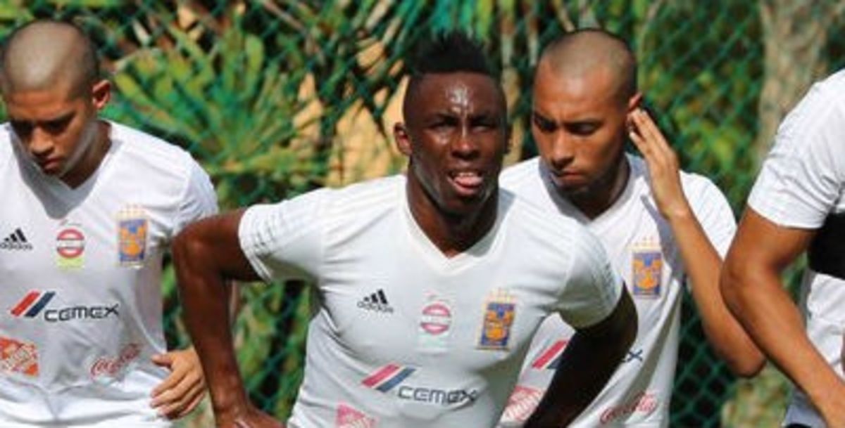 Tigres, Liga MX, Apertura 2019, lesión, Julián Quiñones, atroscopia, lesión meniscal, ligamento cruzado anterior, rodilla derecha