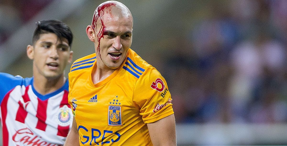 Tigres, Liga MX, Apertura 2019, Jorge Torres Nilo, Alexis Vega, lesión,