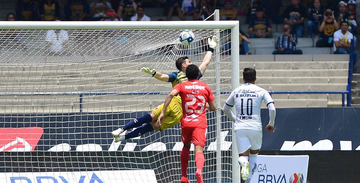 Liga MX, Apertura 2019, Jornada 5, Pumas, Veracruz, Pumas vs. Veracruz, Estadio Olímpico Universitario