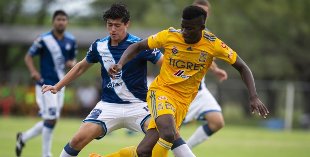 Tigres, Sub 20, Liga MX, Puebla, Carlos Lucumi, colombiano, Jornada 11, Apertura 2019