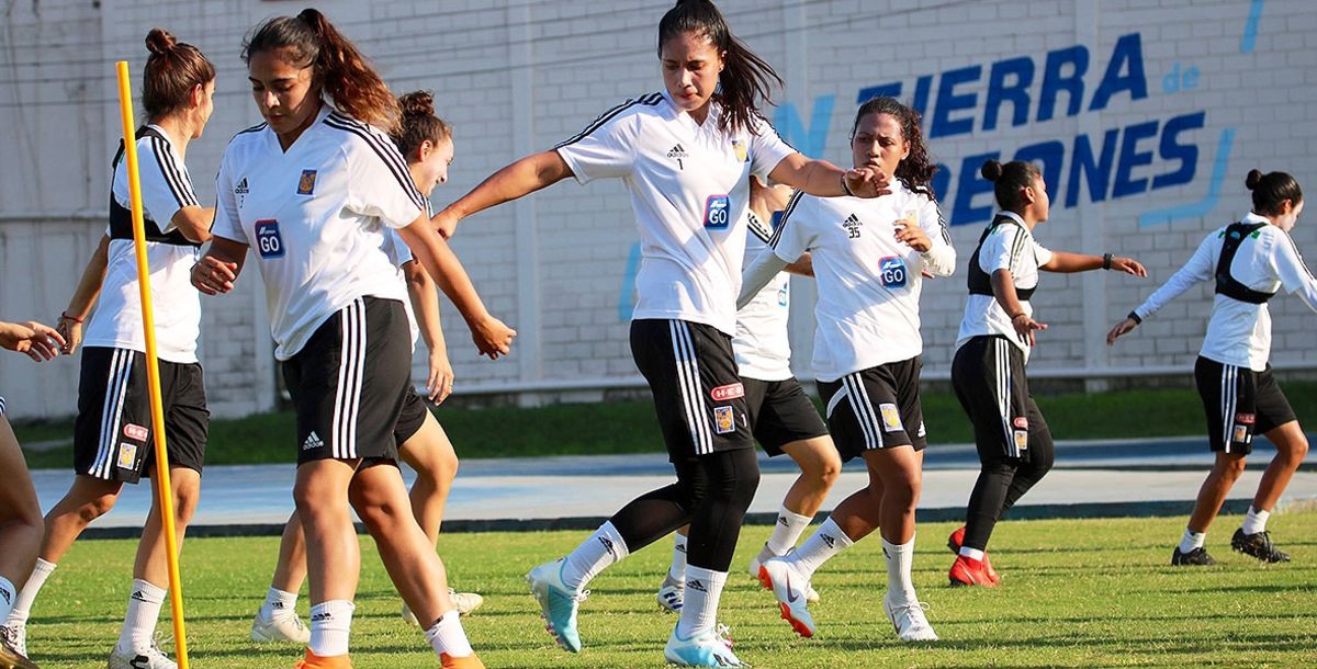 Tigres Femenil, Liga MX Femenil, Apertura 2019, Tigres, Alejandra Gutiérrez, Alexia Espinoza, lesiones, ligamento cruzado anterior