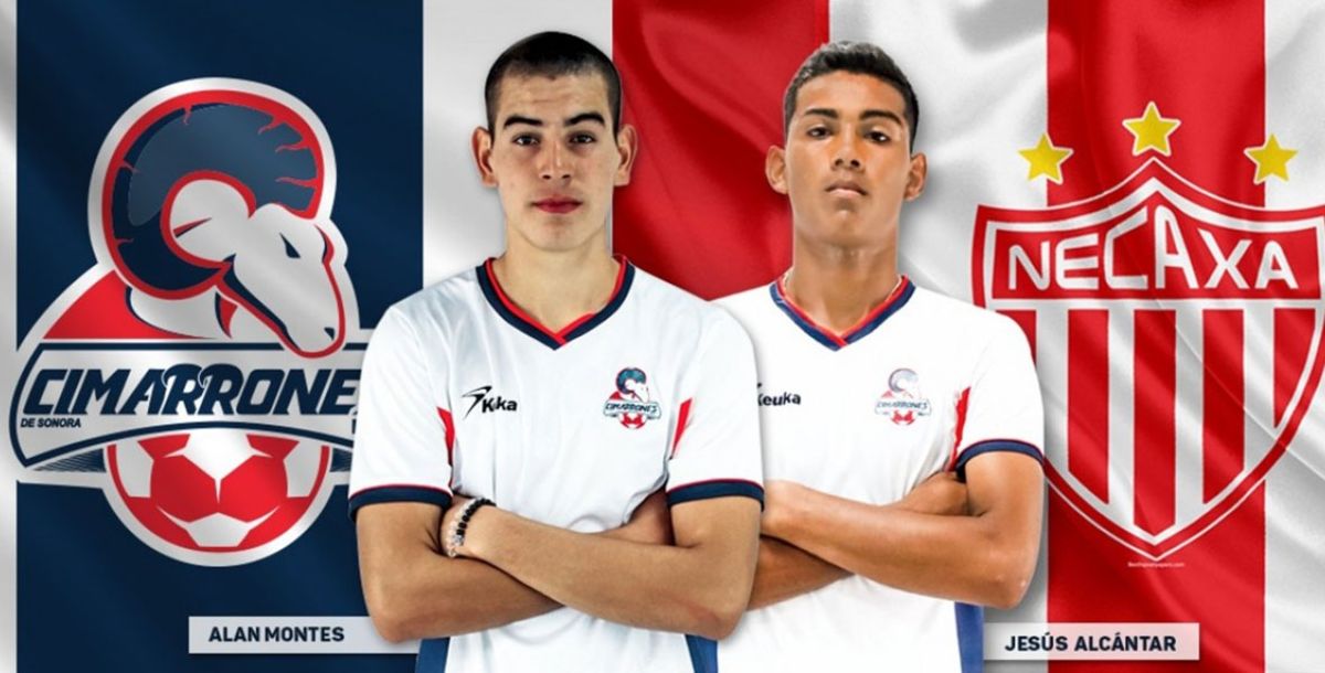 Ascenso MX, Liga MX, Cimarrones, Sonora, Necaxa, Rayos, Jesús Alberto Alcántar Rodríguez, Pogba Alcántar, Alan Isidro Montes Castro, César Montes, Pogba, Tercera División Profesional, Segunda División Premier, Poblado Miguel Alemán, Johan Vásquez