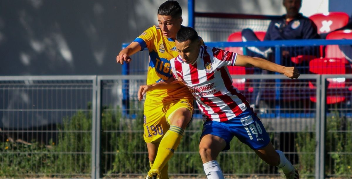 Liga MX, Guardianes 2020, Tigres Sub 20, Fuerzas básicas, Chivas, Liguilla