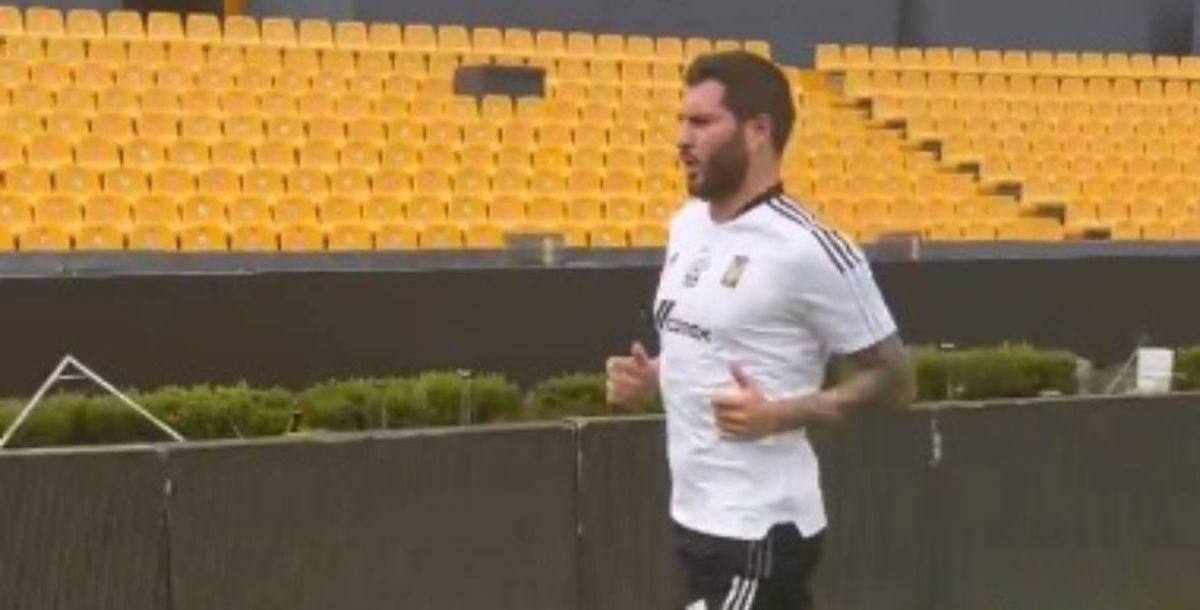 Liga Mx, André Pierre Gignac, Tigres