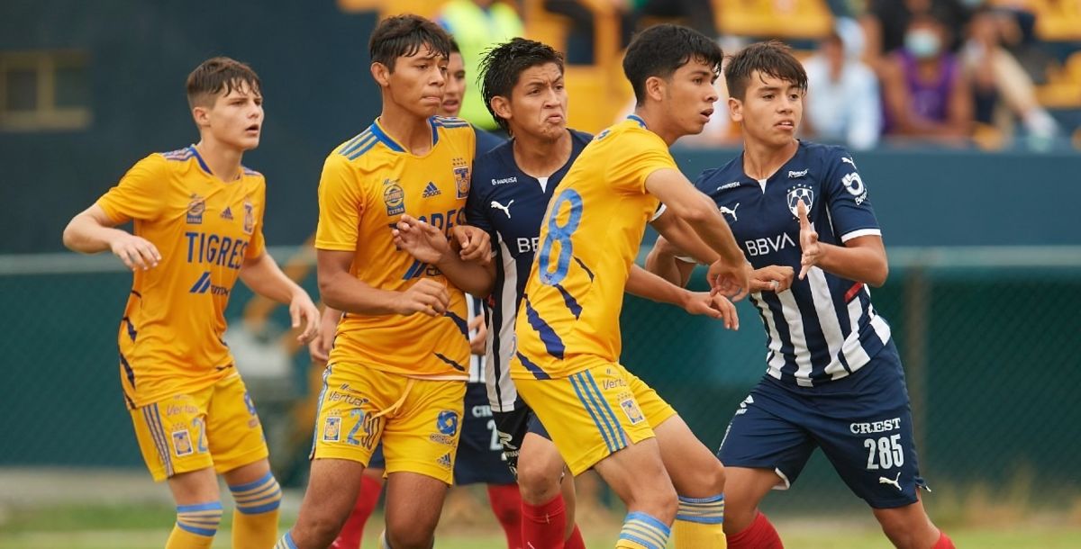 Tigres, Rayados, Clásico Regio, Sub 16, Sub 14, Liga MX, Fuerzas Básicas