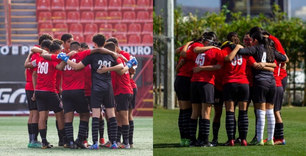 Xolos, Liga MX, Liga MX Femenil, visorias, diciembre, fuerzas básicas