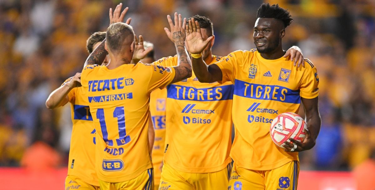Tigres, Liga MX, Querétaro, Jornada 5, partido, en vivo, transmisión, Miguel Herrera