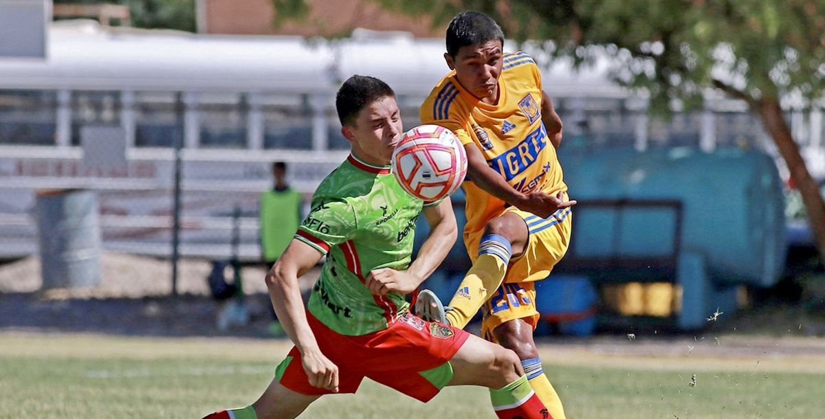 Tigres, Sub 20, FC Juárez, Liga MX, Apertura 2022, Hernán Elizondo, invicto