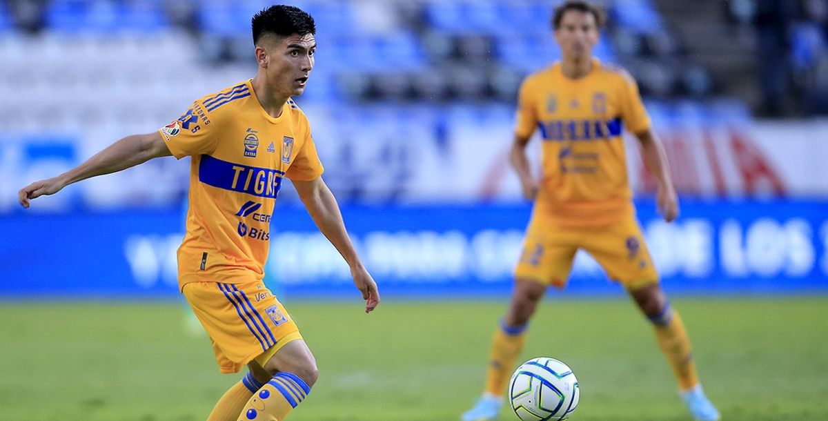 Tigres, Vladimir Loroña, Miguel Herrera, Pizarro, Nahuel, Gignac
