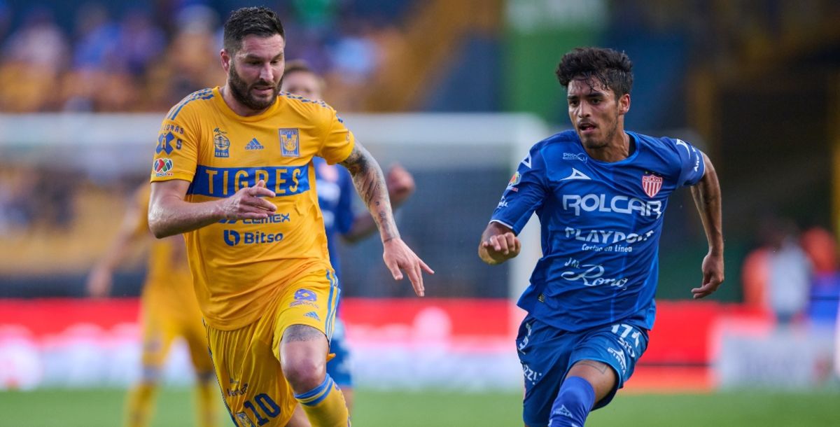 Tigres, Necaxa, Rayos, Liga MX, Miguel Herrera, Jimmy Lozano, Repechaje