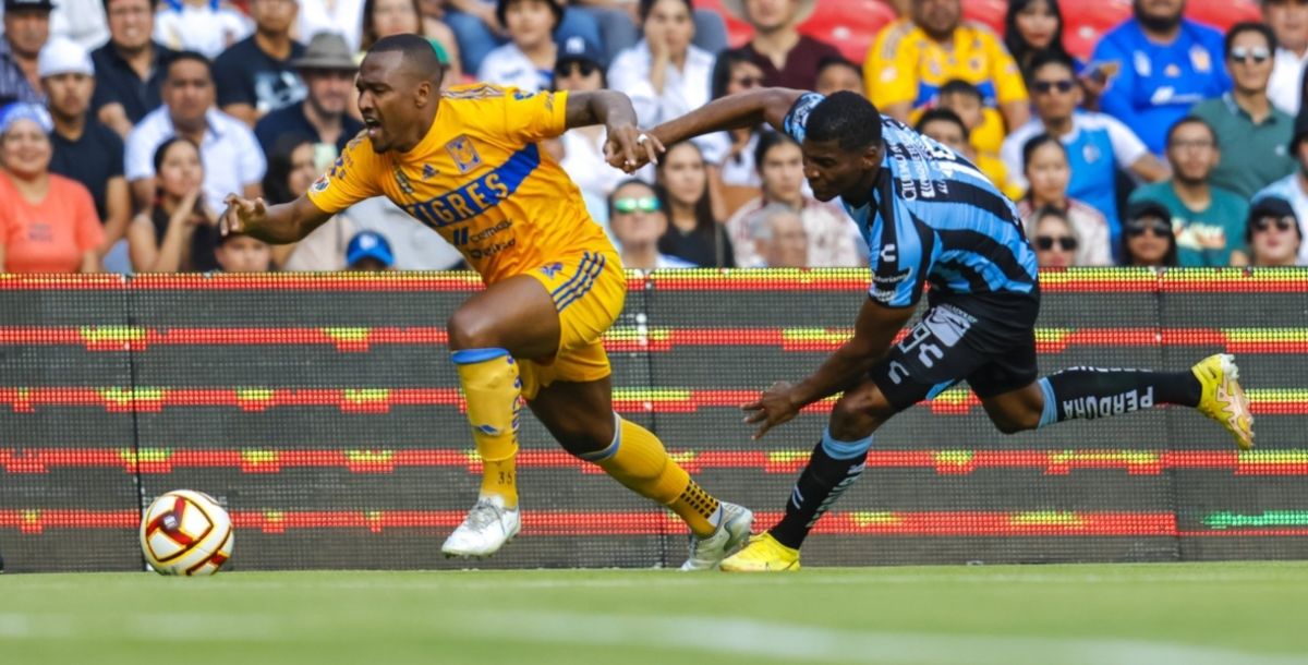 Tigres, Querétaro, Liga MX, Gallos, Robert Dante Siboldi, transmisión, online