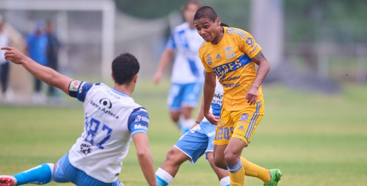 Tigres, Puebla, Sub 20, Sub 18, Liga MX, Liguilla, goles, resumenm, fuerzas basicas