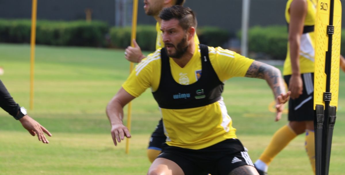 Tigres, Liga MX, entrenamiento, lesión, Siboldi, Estadio Universitario, Juárez