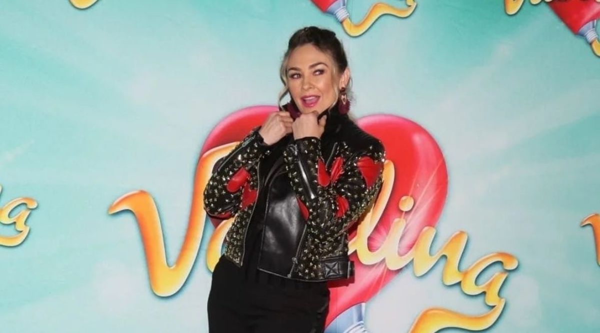Aracely Arámbula, Luis Miguel, Pensión, Divorcio, música, televisión