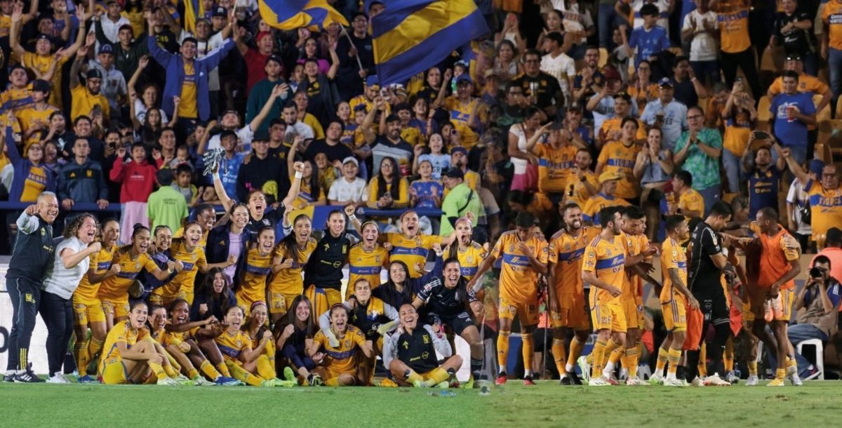 Tigres, Tigres Femenil, Sub 16, Sub 18, Sub 19 Femenil, Liguillas, Siboldi