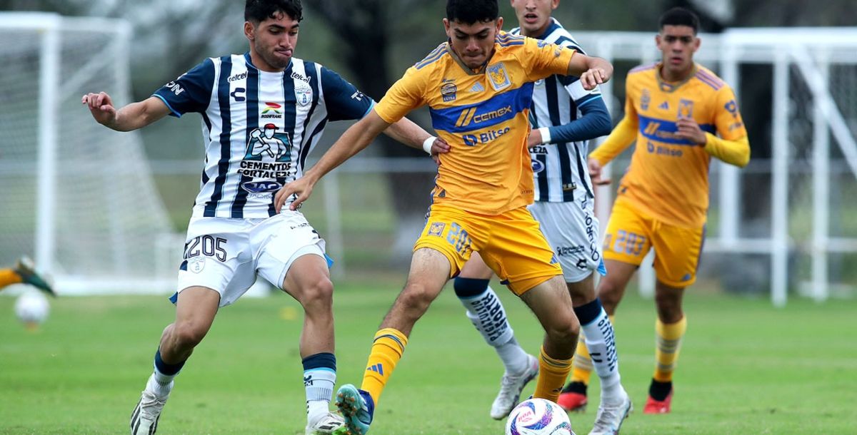 Liga MX, Sub 23, Final, Tigres, Fuerzas básicas, Pachuca, Semifinal