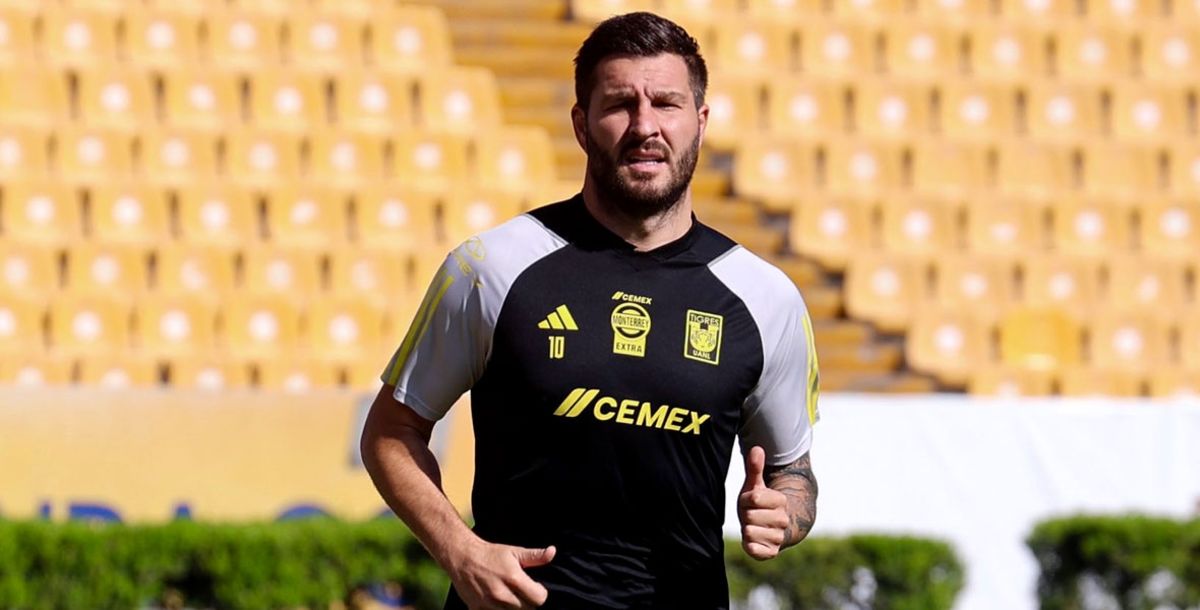 Gignac, Tigres, Puebla, Liga MX, Apertura 2023, Liguilla, Cuartos de Final, Siboldi, lesión, pubis, Nicolás Ibáñez, Ozziel Herrera