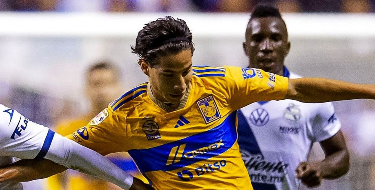 Tigres, Puebla, Liga MX, Apertura 2023, Liguilla, Cuartos de Final, Vuelta, Estadio Universitario, ¿Dónde veo en vivo y en directo el Tigres vs. Puebla?
