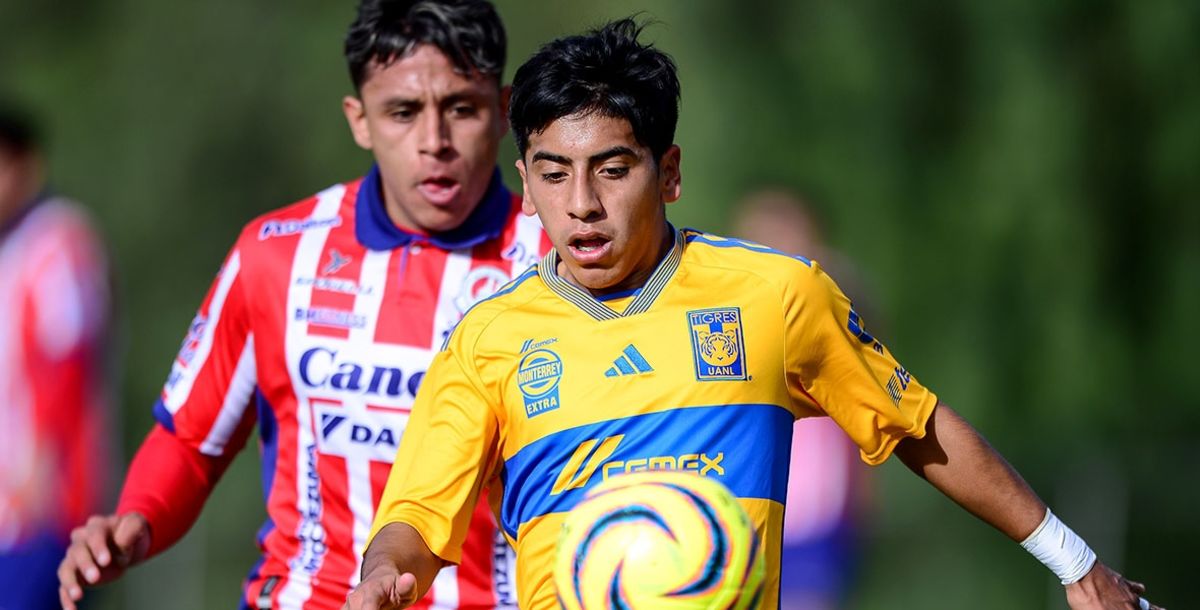 Tigres, Atlético de San Luis, Liga MX, Sub 23, Sub 18, Luis Nájera, Sebastián Fierro, Miguel Ortega, Axel Pérez, Hernán Elizondo, Francisco Gómez