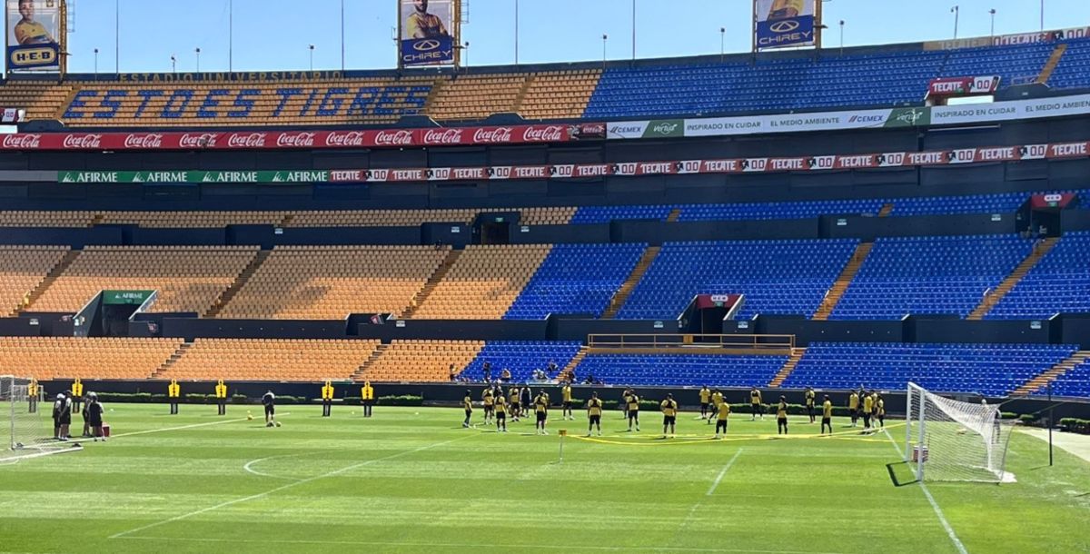 Tigres, Siboldi, Puebla Liga MX, lesiones, Marcelo Flores, Sebastián Córdova