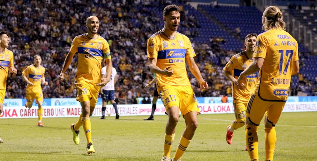 Tigres, Puebla, Liga MX, en vivo, online, transmisión, Siboldi, La Franja
