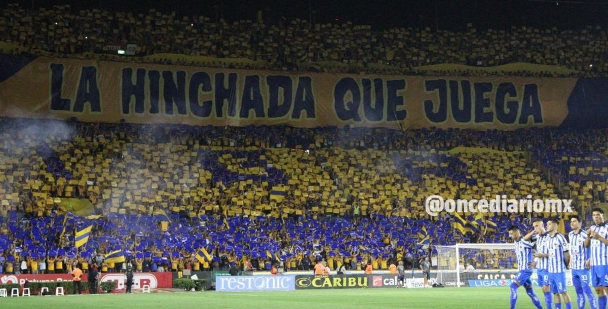 Liga MX, Clausura 2024, Tigres, Universitario, color, libres y lokos, rayados, Clásico Regio