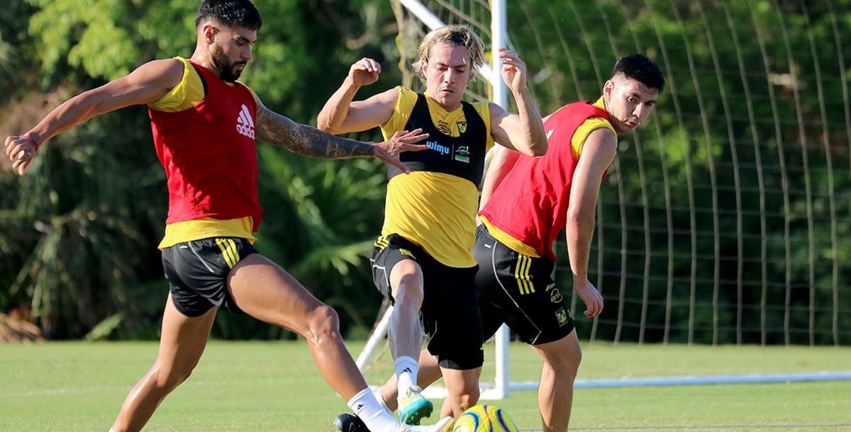 Tigres, Liga MX, Apertura 2024, pretemporada, Siboldi, Oscar Tojo, refuerzos