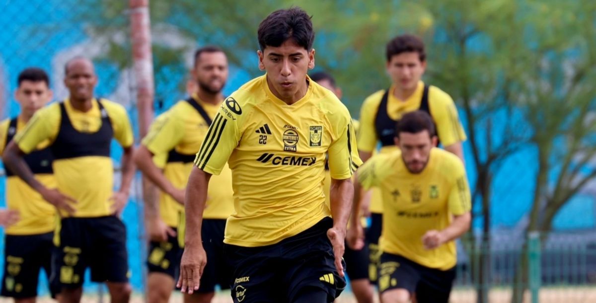 Liga MX, Apertura 2024, Tigres, regla de menores, marcelo flores, Chicha Sánchez, Paunovic