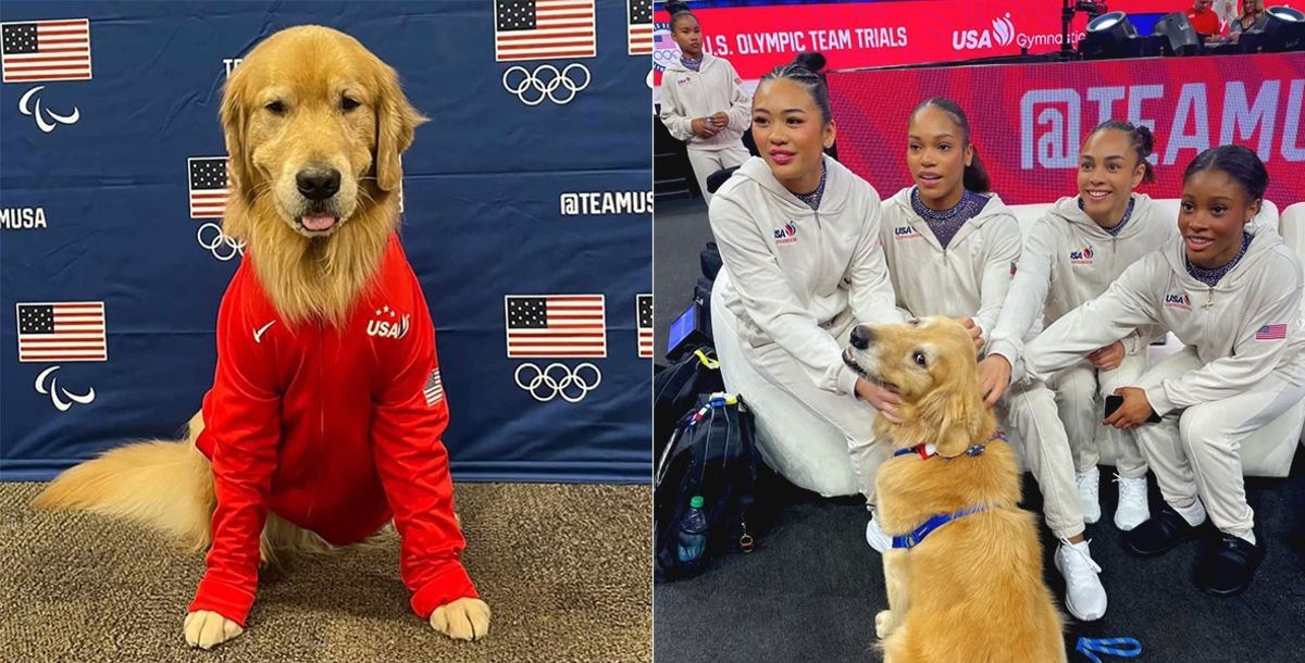 Viral, Beacon, USA Gymnastics, Juegos Olímpicos, París 2024, Suni Lee, Tracey Callahan Molnar, USAG, ansiedad, presión arterial, perro de terapia.