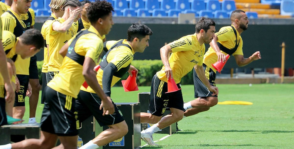 Tigres, América, Veljko Paunovic, Liga MX, Apertura 2024, Jornada 3, Sebastián Córdova, Gignac, NIco Ibáñez, Diego Lainez, posible ONCE de Tigres vs. América
