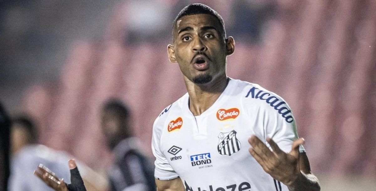 Liga MX, Apertura 2024, Joaquim Pereira, nuevo refuerzo, Tigres, firma, samir caetano