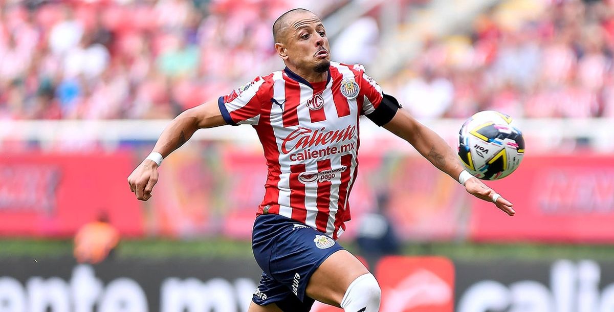 Tigres, Chivas, Guadalajara, Javier Hernández, Liga MX, Apertura 2024, Jornada 5, convocados por chivas