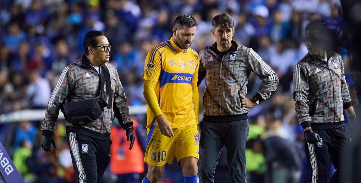 Andre Pierre Gignac, lesion, Nicolas Ibanez, Liga MX, Cruz Azul, Tigres, Liguilla