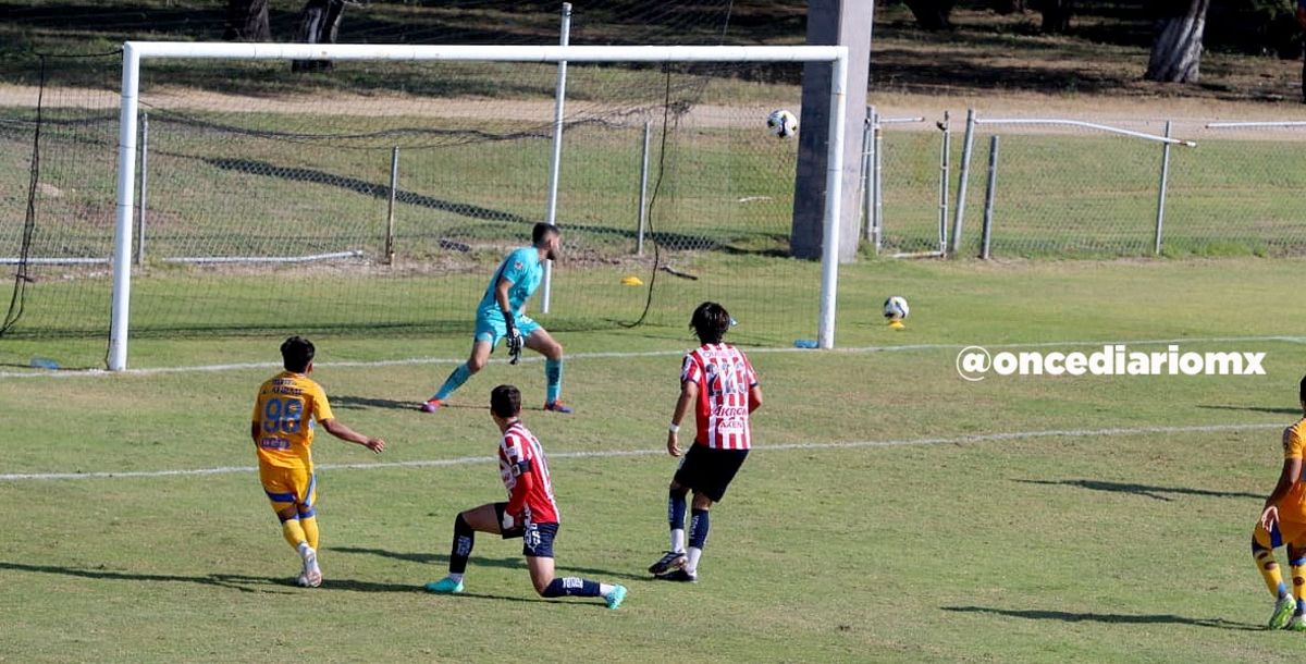 Tigres Sub 23, Chivas, Tigres Sub 19, Xolos, Liga MX, Apertura 2024, Liguilla, Cuartos de Final, Diego Sánchez, Chicha Sánchez, Diego Ojeda, crónica resultado