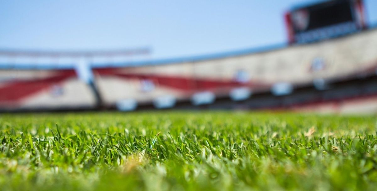 Mundial de Clubes, Pachuca, neteller