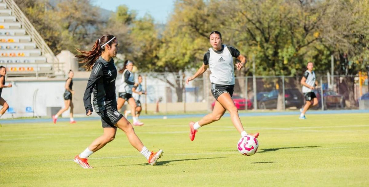 liga, mx, tigres, femenil, ana, cristina, gonzález, pedro, losa