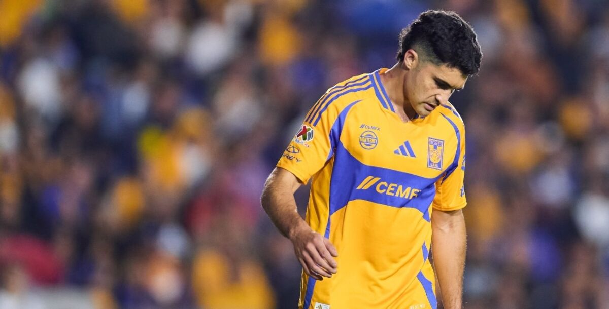 Tigres, Nicolás Ibáñez, Liga MX, Paunovic, Gignac