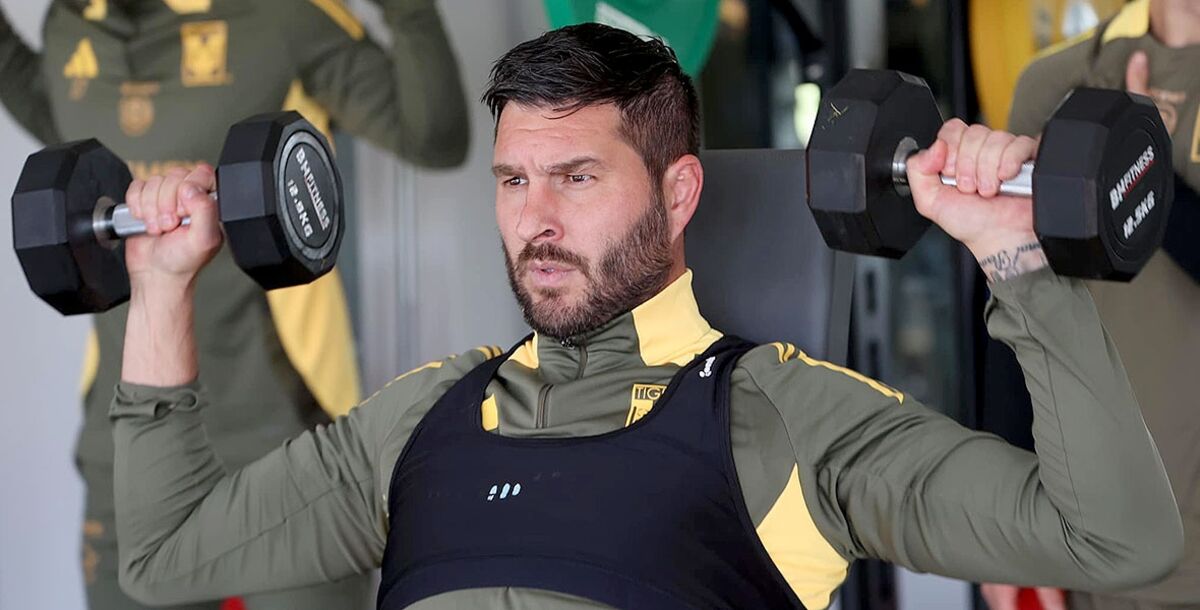 liga mx, tigres, andré pierre-gignac, operación, regreso