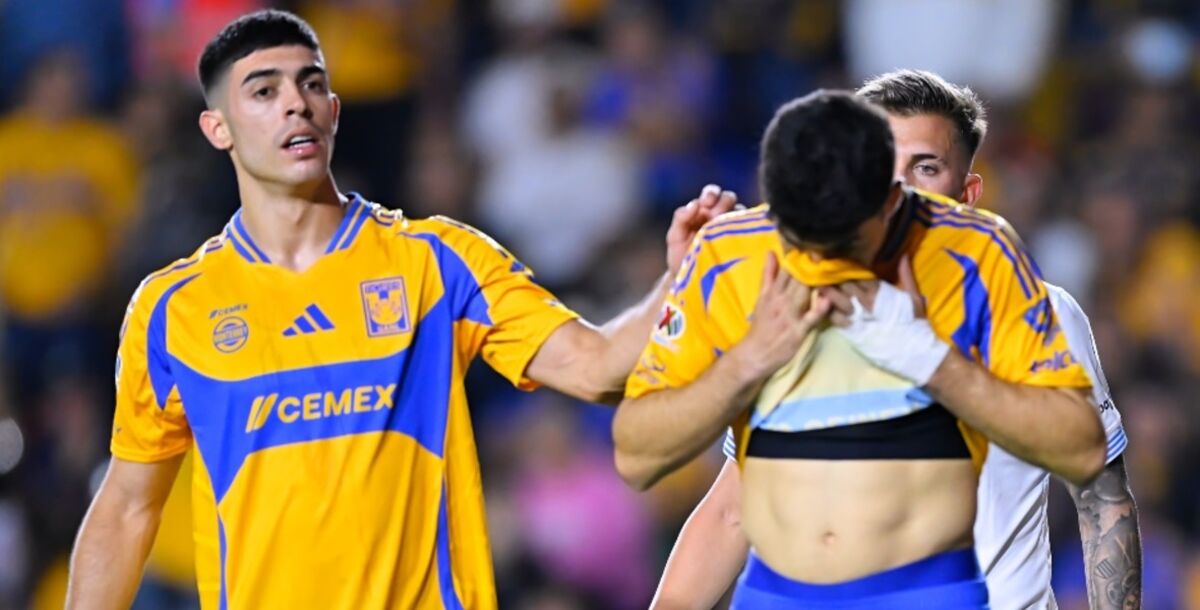 Tigres, Nicolás Ibáñez, expulsión, Gignac, Paunovic, Liga MX