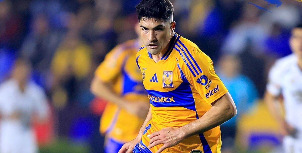 Nicolás Ibáñez, Tigres, FC Juárez, Liga MX, Clausura 2025, Jornada 9, Veljko Paunovic, lesionados