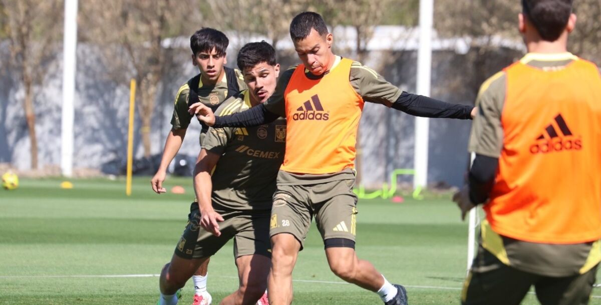 Tigres, Romulo Zwarg, Chicha Sánchez, entrenamiento, Santos, Liga MX