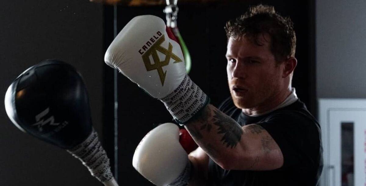 Saúl Canelo Ávarez, William Scull, Arabia Saudita, supermedianos, campeón absoluto, FIB, Consejo Mundial, Asociación Mundial, Organización Mundial