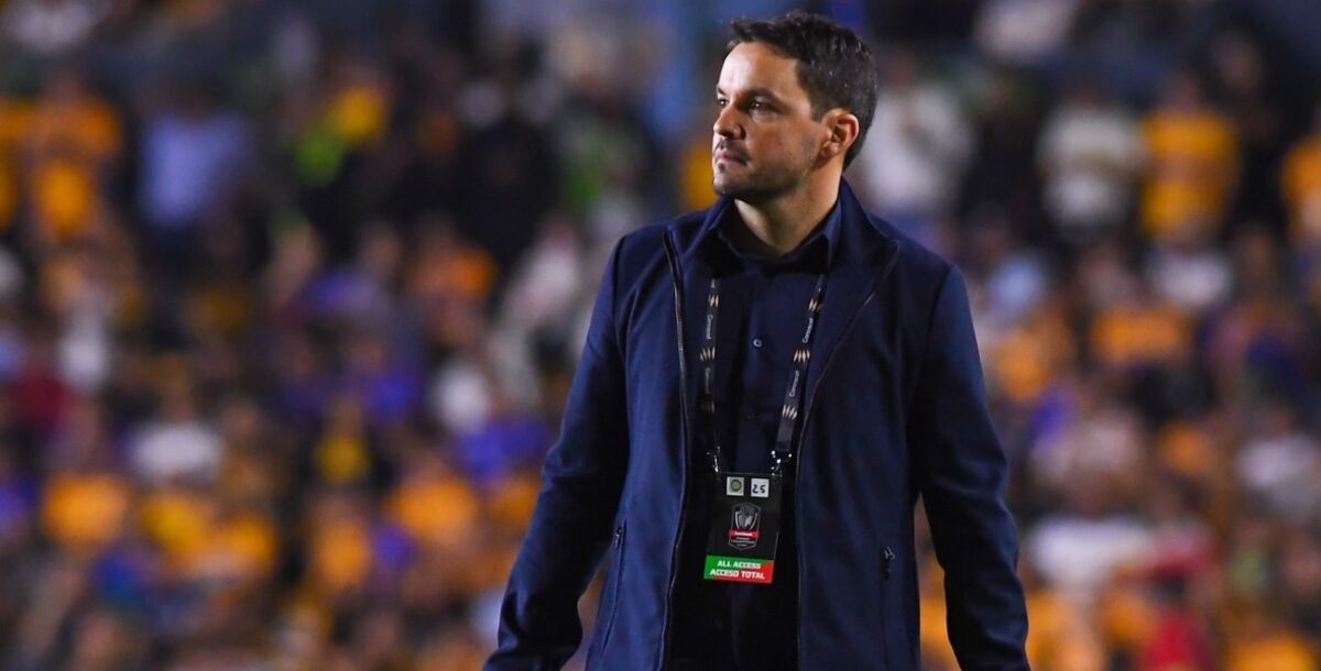 Tigres, Necaxa, Nicolás Larcamon, Liguilla, León, Puebla, Liga MX
